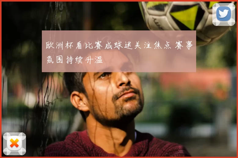 欧洲杯看比赛成球迷关注焦点 赛事氛围持续升温