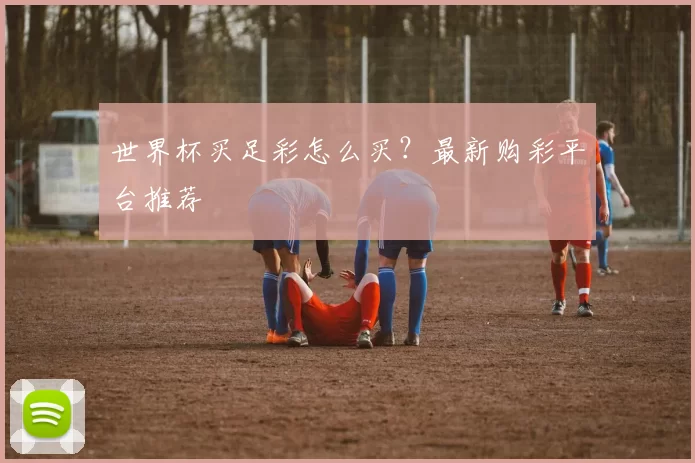 世界杯买足彩怎么买?最新购彩平台推荐