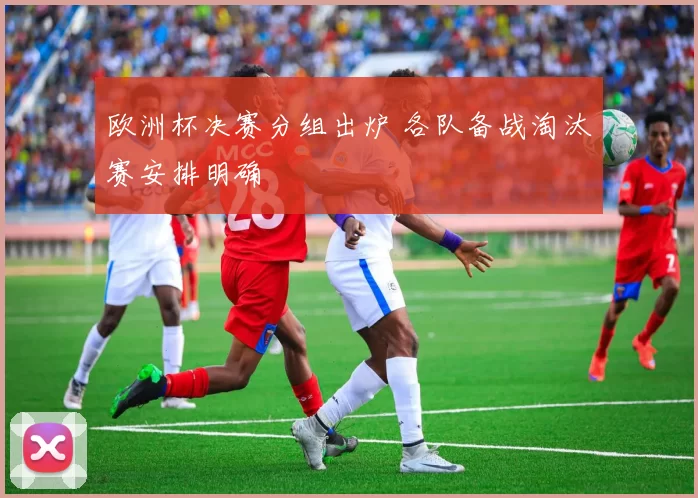 欧洲杯决赛分组出炉 各队备战淘汰赛安排明确
