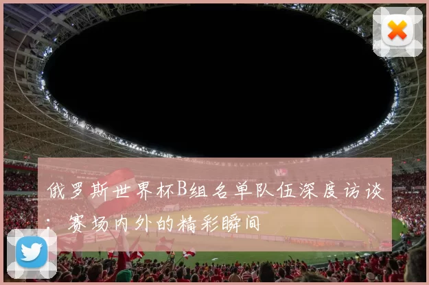 俄罗斯世界杯B组名单队伍深度访谈：赛场内外的精彩瞬间