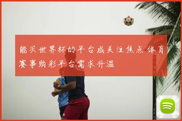 能买世界杯的平台成关注焦点 体育赛事购彩平台需求升温