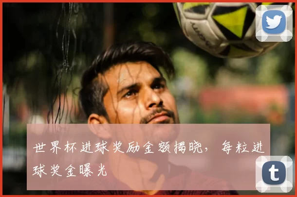 世界杯进球奖励金额揭晓,每粒进球奖金曝光