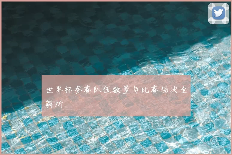 世界杯参赛队伍数量与比赛场次全解析