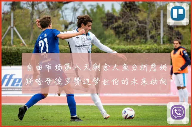 自由市场第八天剩余大鱼分析詹姆斯哈登德罗赞追梦杜伦的未来动向