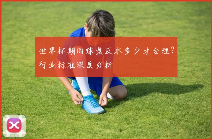 世界杯期间球盘反水多少才合理?行业标准深度分析