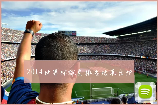 2014世界杯球员排名结果出炉