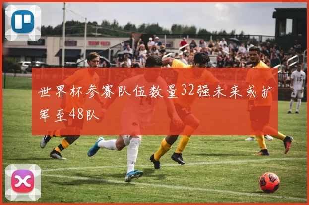 世界杯参赛队伍数量32强未来或扩军至48队