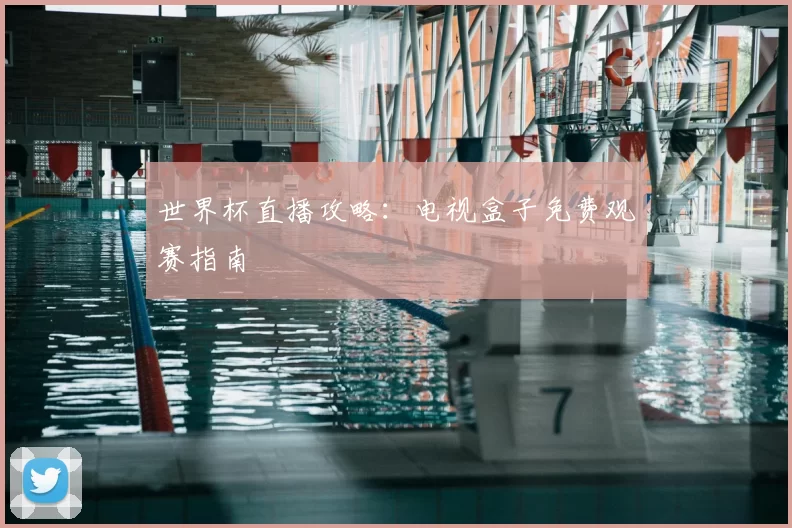 世界杯直播攻略：电视盒子免费观赛指南