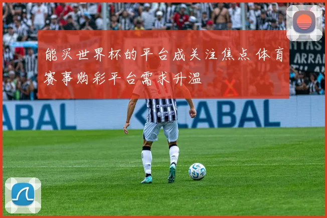 能买世界杯的平台成关注焦点 体育赛事购彩平台需求升温