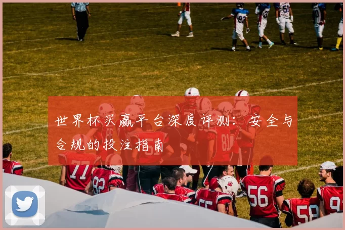 世界杯买赢平台深度评测:安全与合规的投注指南