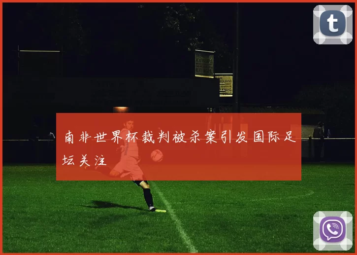 南非世界杯裁判被杀案引发国际足坛关注