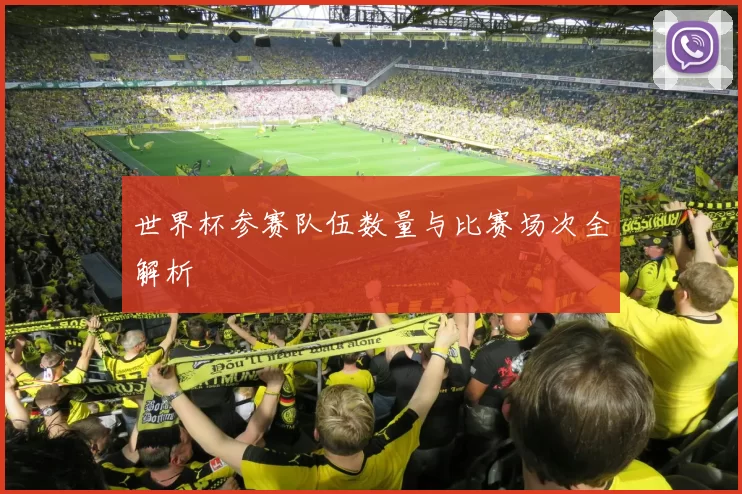 世界杯参赛队伍数量与比赛场次全解析