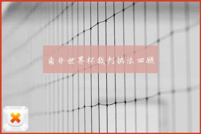 南非世界杯裁判执法回顾