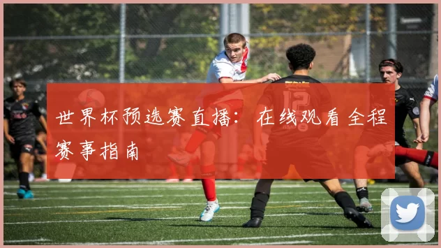 世界杯预选赛直播:在线观看全程赛事指南
