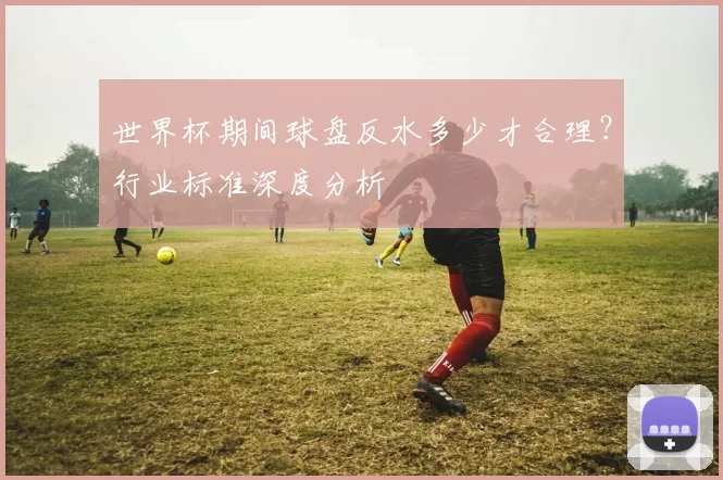 世界杯期间球盘反水多少才合理?行业标准深度分析