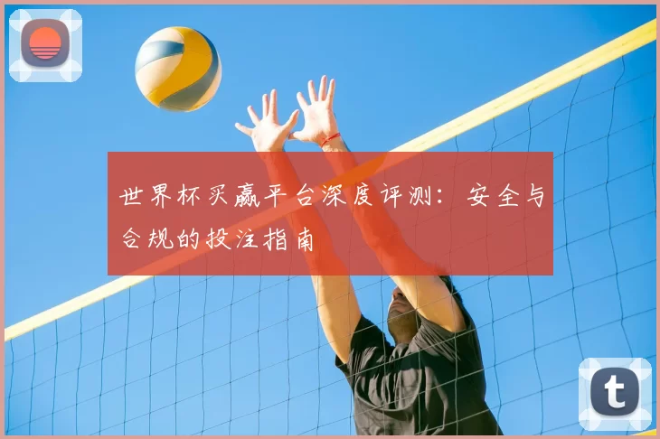 世界杯买赢平台深度评测：安全与合规的投注指南