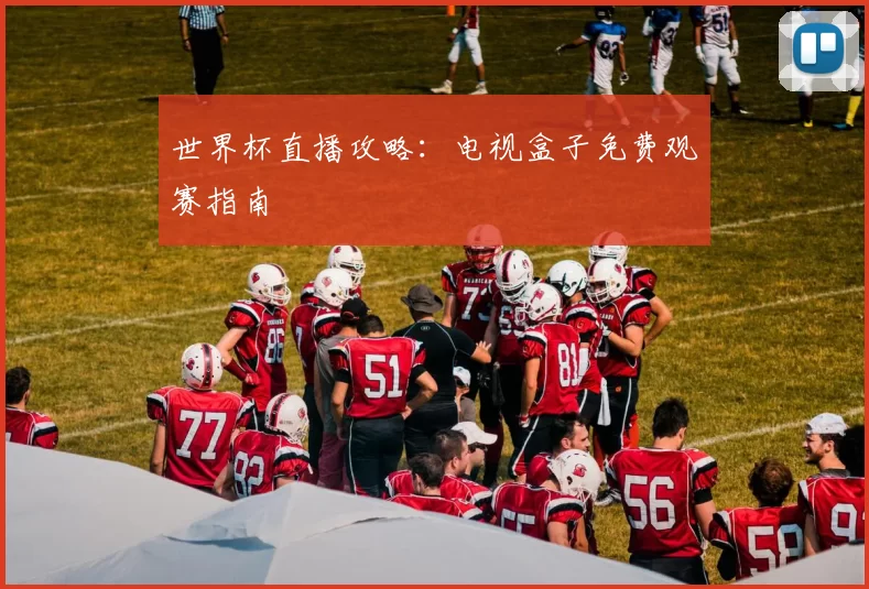 世界杯直播攻略：电视盒子免费观赛指南